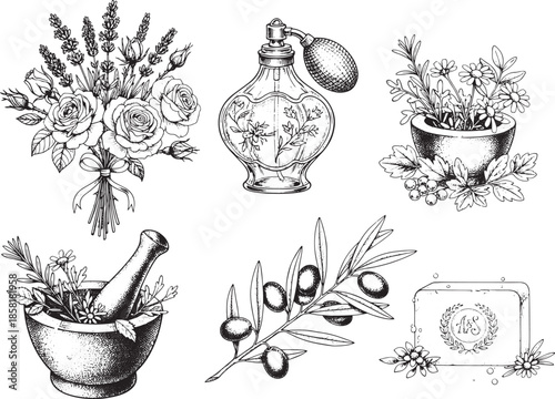 An exquisite collection of artistic black and white illustrations that showcases the allure of botanical elegance. The ensemble includes a fragrant bouquet, a vintage perfume bottle.