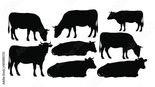Silhouettes of grazing cattle and resting cows in a black and white style