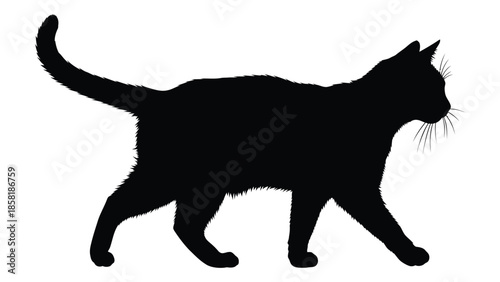 A striking silhouette of a black cat in a walking pose