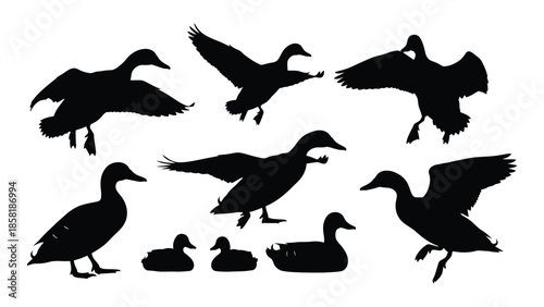 Silhouettes of ducks in various poses against a plain white background
