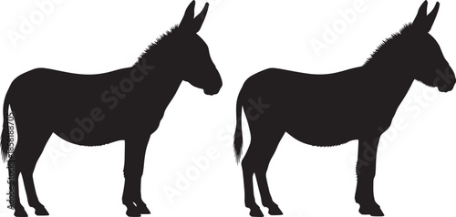 Two donkey silhouettes isolated on white background