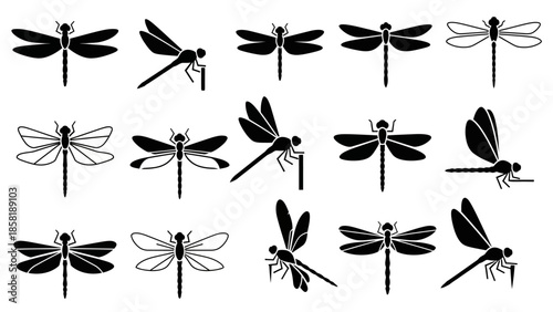 Black dragonflies in various poses.