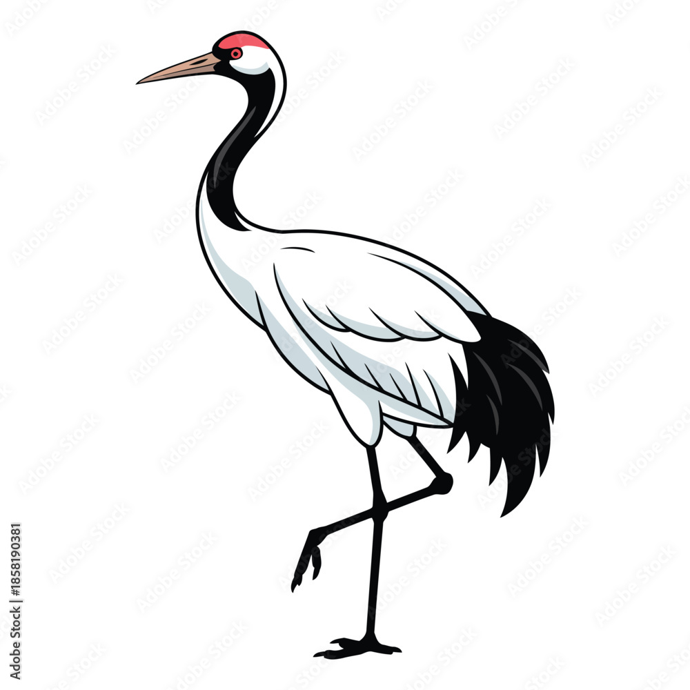 Obraz premium black crowned crane