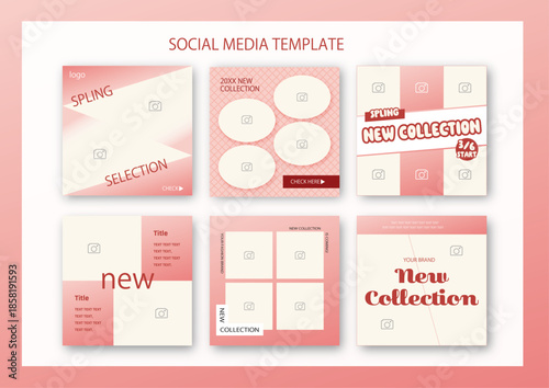 春 シンプル SNS フレーム セット