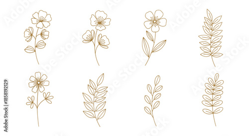 Set of various floral and leaf line art designs in a warm golden brown color on a plain white background for decoration.