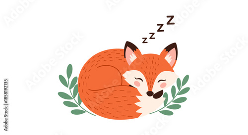Cute red fox sleeping peacefully curled up in a circle surrounded by green leafy branches on a white background.