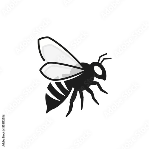 Black and white bee insect.