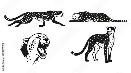 Black and white cheetah animal illustrations.