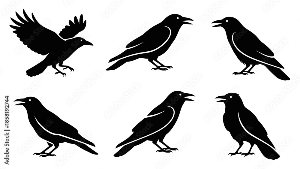 Obraz premium Black silhouette of various crows.
