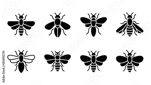 Black silhouettes of various flying insects.
