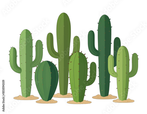 Green Cactus Illustration in Flat Design Style