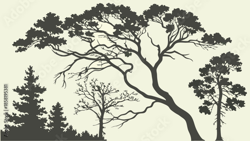 Nature Landscape Silhouette Vector Illustration Set Diverse Trees Forest Woods Graphic Design Elements Stencil Decal