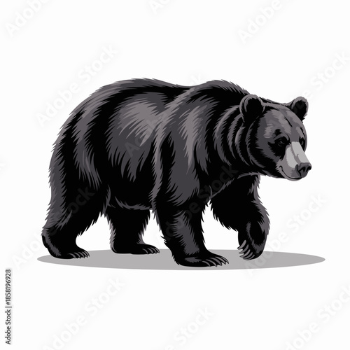 This image features a striking depiction of a black bear walking in a natural setting, showcasing its majestic presence and attention to detail in its fur texture.