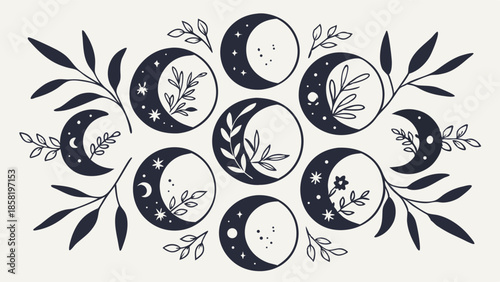 Mystical Moon Phases Vector Illustration Hand Drawn Celestial Botanical Design Esoteric Lunar Cycle Art for Spiritual Wellness and Boho Branding