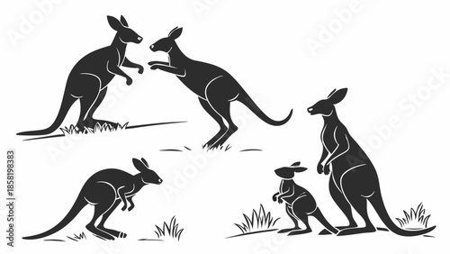 Australian Kangaroo Wildlife Silhouette Vector Set Featuring Fighting Males and Standing Family Group Icons for Logo and Design