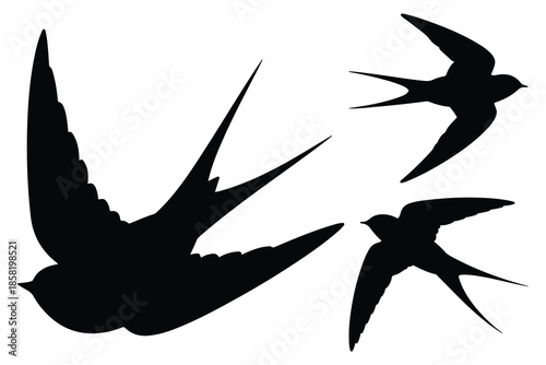 Three black swifts flying silhouette birds