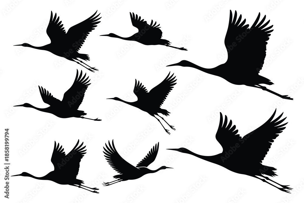 Obraz premium Seven Black Crane Birds Flying Silhouettes