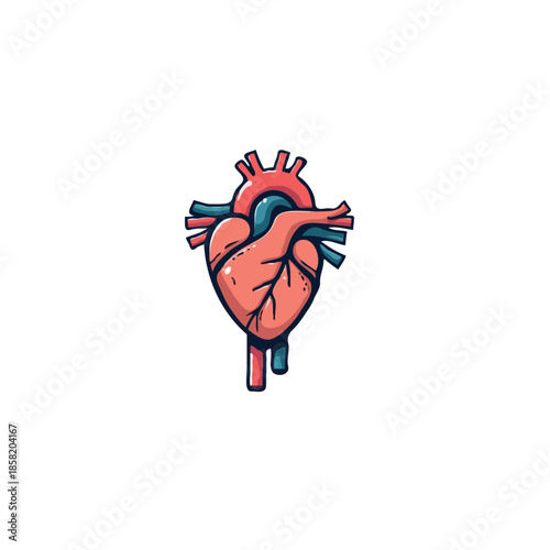 Stylized human heart illustration depicting circulatory system components for educational purposes