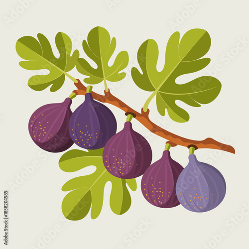A close-up view of a branch bearing ripe figs with vibrant green leaves highlights the natural beauty and bountiful harvest of this delicious fruit.