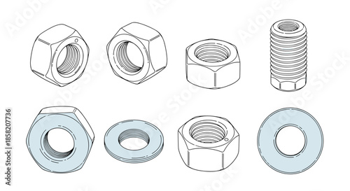 Selection of industrial hardware including various sizes of hexagonal nuts, round washers, and a threaded bolt in line art style.
