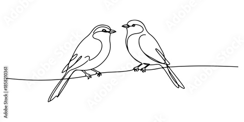 Continuous one line of a two birds sitting on a branch, symbolizing love, affection, care, and unity isolated on a white background, drawn vector illustration.