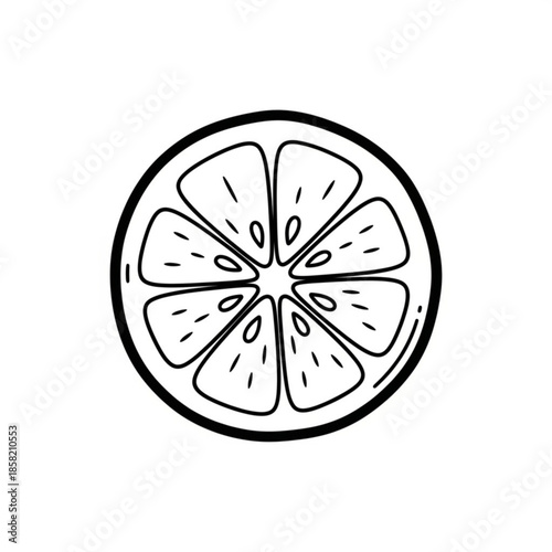 Fresh juicy lemon slice and ripe citrus fruit half isolated on white background as a healthy organic food vector illustration