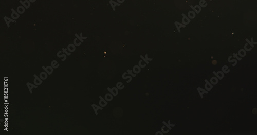 real dust particles floating in air over black background with sunset light