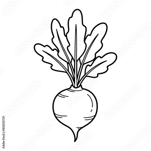 Hand holding a fresh spring bouquet and a hand drawn vector illustration of a green apple isolated on a brown nature background with a floral glass vase and willow branch