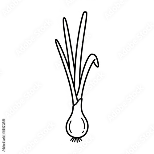 Fresh green spring onion plant in a glass vase or pot isolated on a white background as a healthy vegetable food object or natural decoration leaf