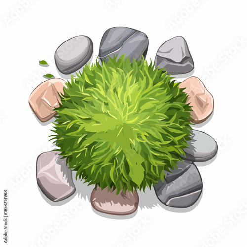 Top view rocks and grass artwork high resolution picture