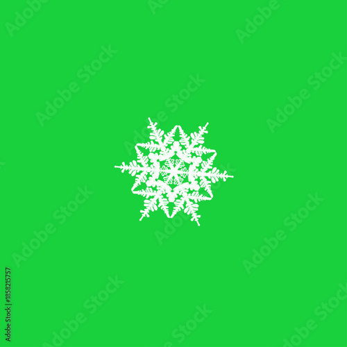 White symmetrical snowflake illustration centered on bright green background with intricate winter design