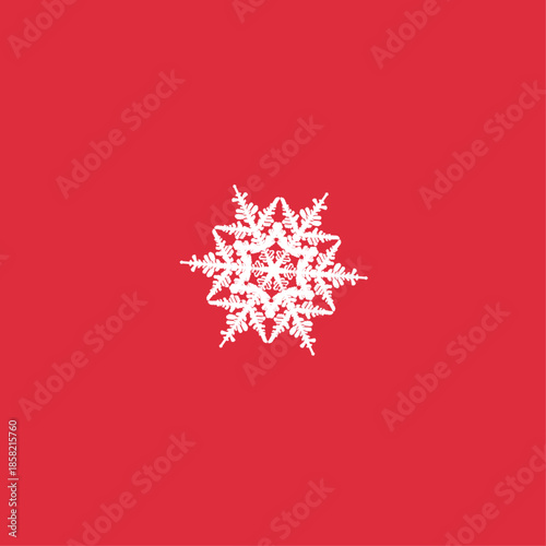 White symmetrical snowflake illustration centered on solid red background with intricate geometric winter design