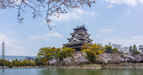 Bild auf Leinwand Hiroshima Castle with Cherry Blossoms, Japan