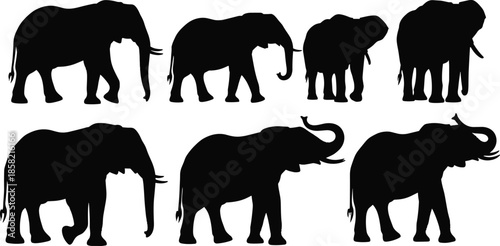 Black elephant silhouettes set featuring African and Asian elephants in various poses, including walking, standing, and raising trunks, wildlife animal vector illustration for design.