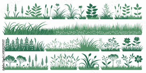 Variety of lush green grass and plants in different silhouettes