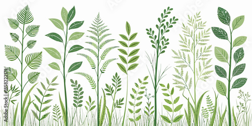 Variety of green plants and leaves on white background
