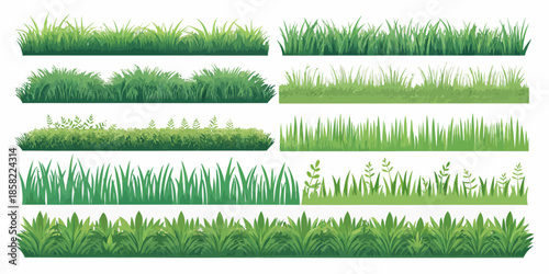 Various green grass and foliage illustrations for design