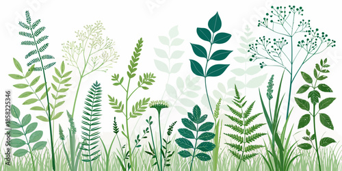 Variety of green plants and leaves on white background