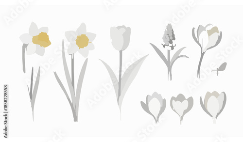 Minimal hand drawn spring garden vector illustration with flowers and insects isolated on white