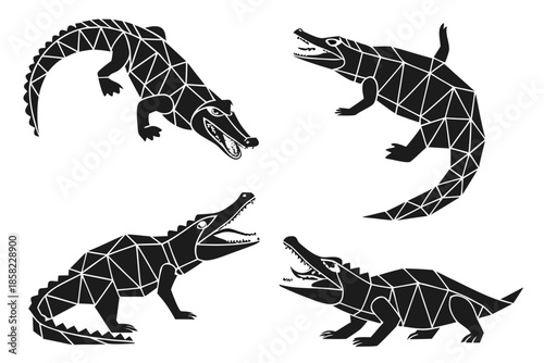 Placeholder image indicator