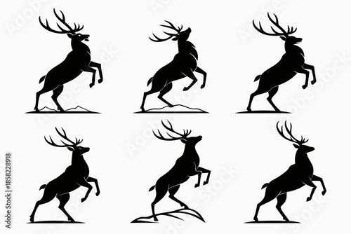 Placeholder image display