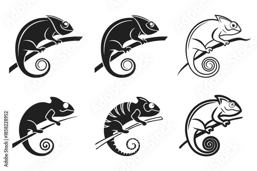 Placeholder image for vector file