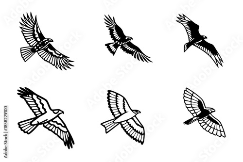 Placeholder image in vector format