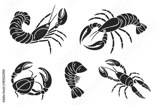 Placeholder image display