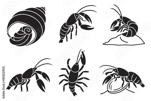 Placeholder image display