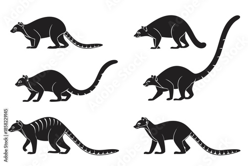 Placeholder image display