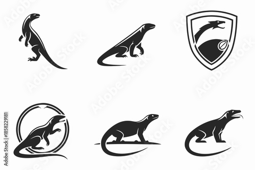 Placeholder image display