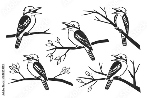 Placeholder image indicator