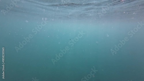 Sun rays pass through the water surface into murky depths. Light beams penetrate the surface of water and scatter through turbid water, creating a calm underwater atmosphere.