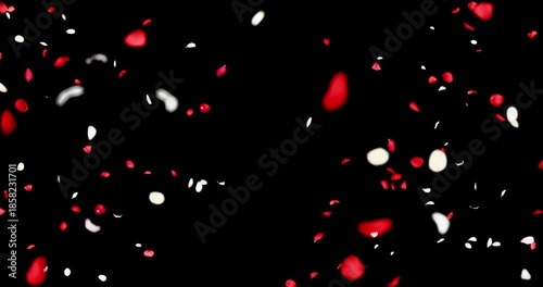 Red and white flower petals sway in the wind. Isolated on black background. 4K 3D rendering loop animation.